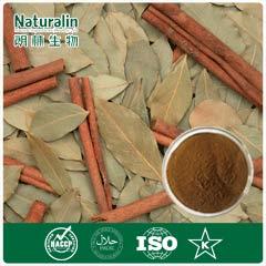 Cinnamon Bark Extract