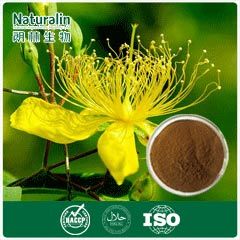 St. John’s Wort Extract