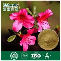 Dahurian Rhodoendron Leaf Extract