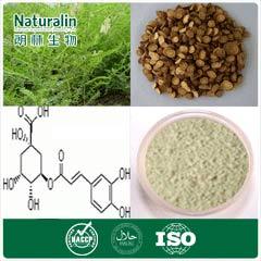 Astragalus Extract