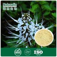 Spicate Clerodendranthus Extract