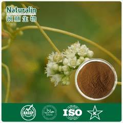 Dodder Seed Extract