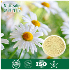 Flos Chrysanthemi Indici Extract