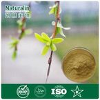 White Willow Bark Extract