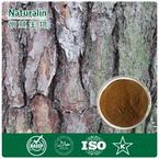 Pine Bark Extract