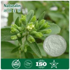 Stevia Extract