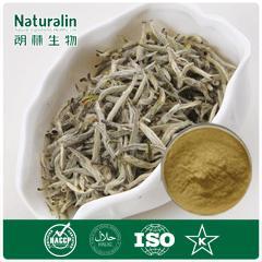 White Tea Extract