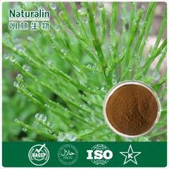 Horsetail Extract