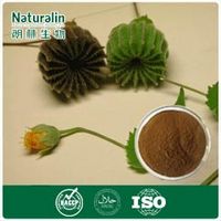 Cluster Mallow Fruit / Seed Extract