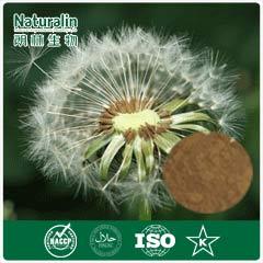 Dandelion Extract