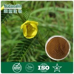 Cassia Nomame Extract