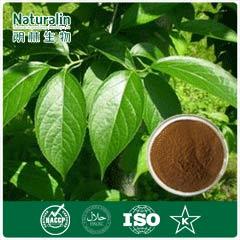 Eucommia Extract