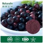 Acai Berry Extract 