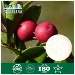 Uva Ursi Leaf Extract