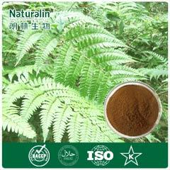 Dryopteris Extract