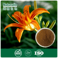 Root of Foldleaf Daylily Extract