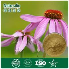 Echinacea Extract