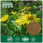 Elecampane Flower / Root Extract