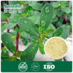 Herba Portulacae Extract