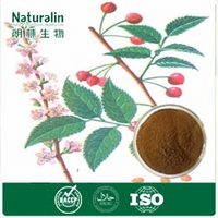 Chinese Bushcherry Seed Extract
