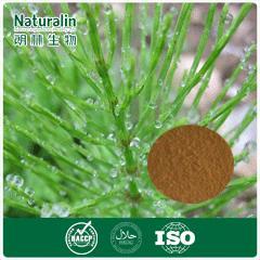 Equisetum Arvense Extract