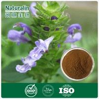 Spica Prunellae Extract