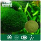 Chlorella Extract