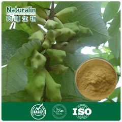 Gallnut Extract