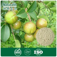 Tea Seed Extract（Tea Saponin）