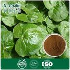 Asarum Extract