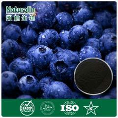 Bilberry Extract