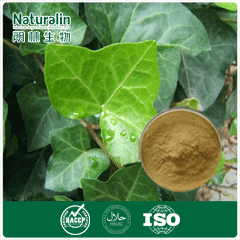 Ivy Extract