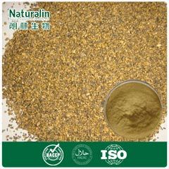 Rice Bran Extract