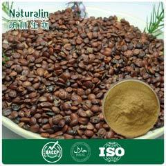 Ziziphi Seed Extract