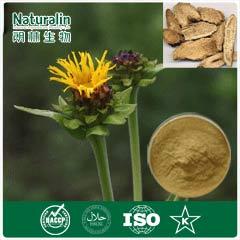 Elecampane Extract