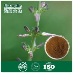 Zhi Mu Extract