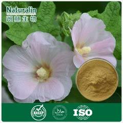 Hollyhock Extract