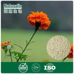 Marigold Extract