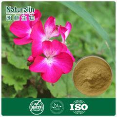 Geranium Extract