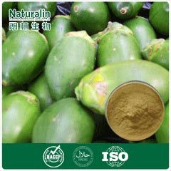 Areca Nut Extract