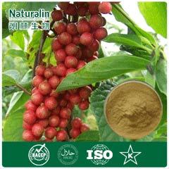 Fructus Schizandrae Extract