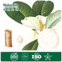 Magnolia Bark Extract