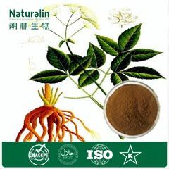 Angelica Extract