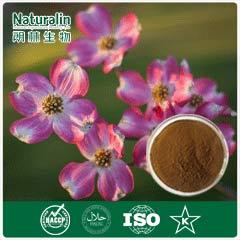 Dogwood Extract