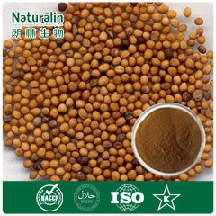 Mustard Seed Extract