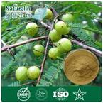 Emblic (Fructus phyllanthi) Extract