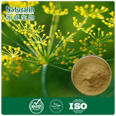 Dill Extract