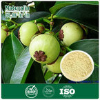 Mangosteen Extract