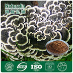 Coriolus Versicolor Extract