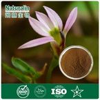 Lobelia Extract